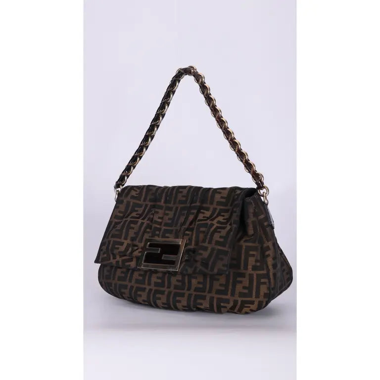 Fendi Zucca Bag